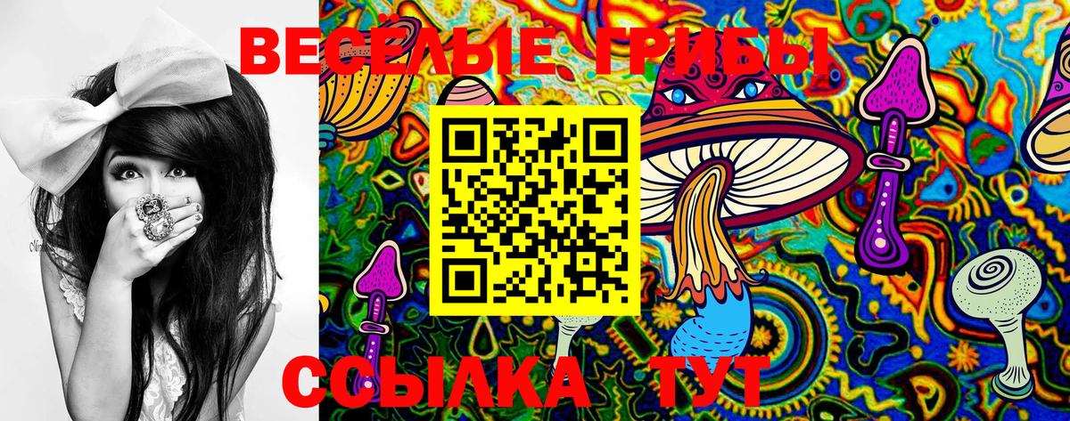 Псилоцибиновые грибы ЛСД Похвистнево